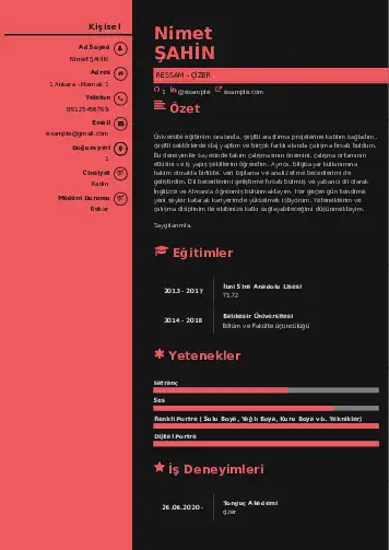 Ressam Cv Örnekleri cv indir